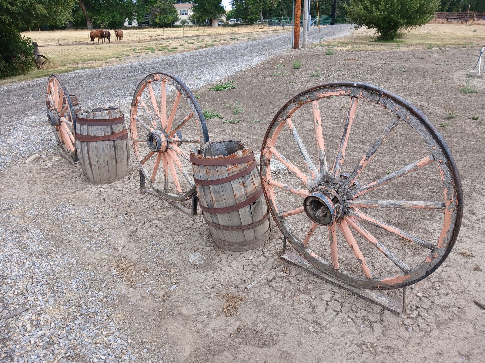 Wagon  wheels
