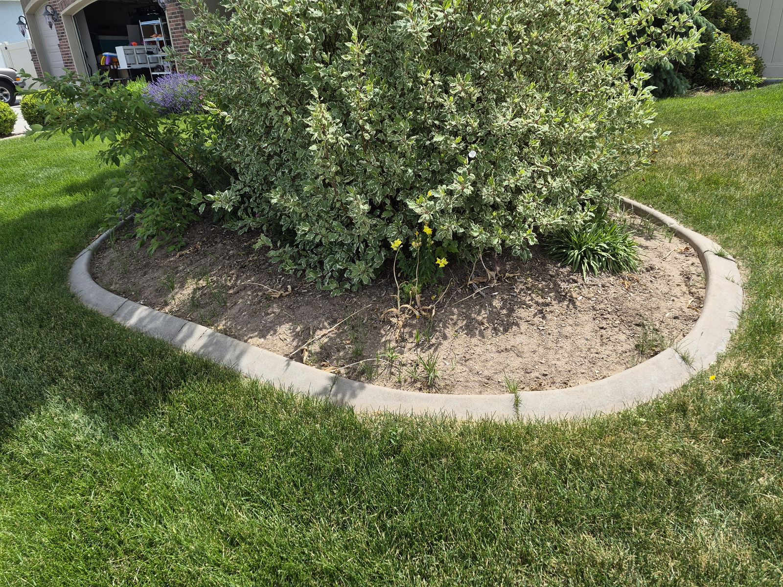Cement border