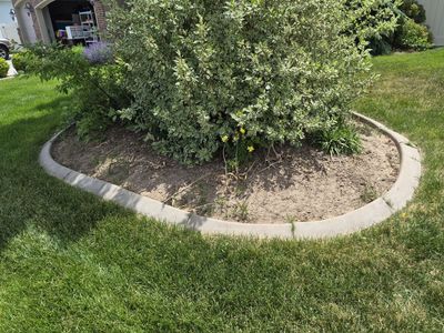 Cement border