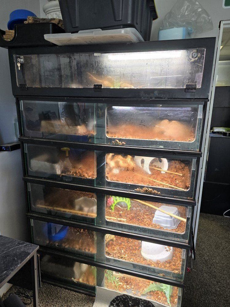 Snakes! And Cages. BOAS