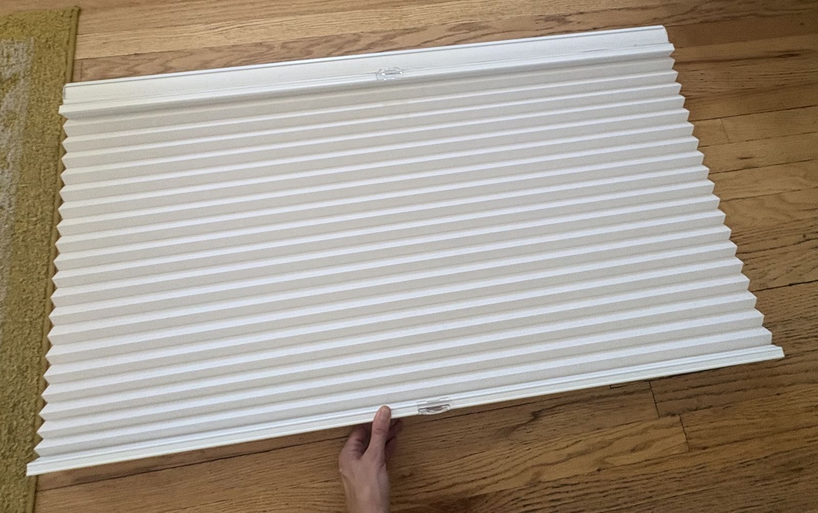 White coldless Blinds