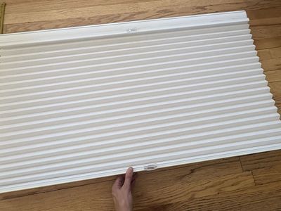 White coldless Blinds