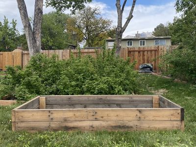 Large Planter/Garden Box