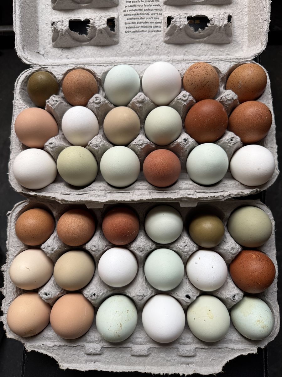 Farm Fresh Eggs!