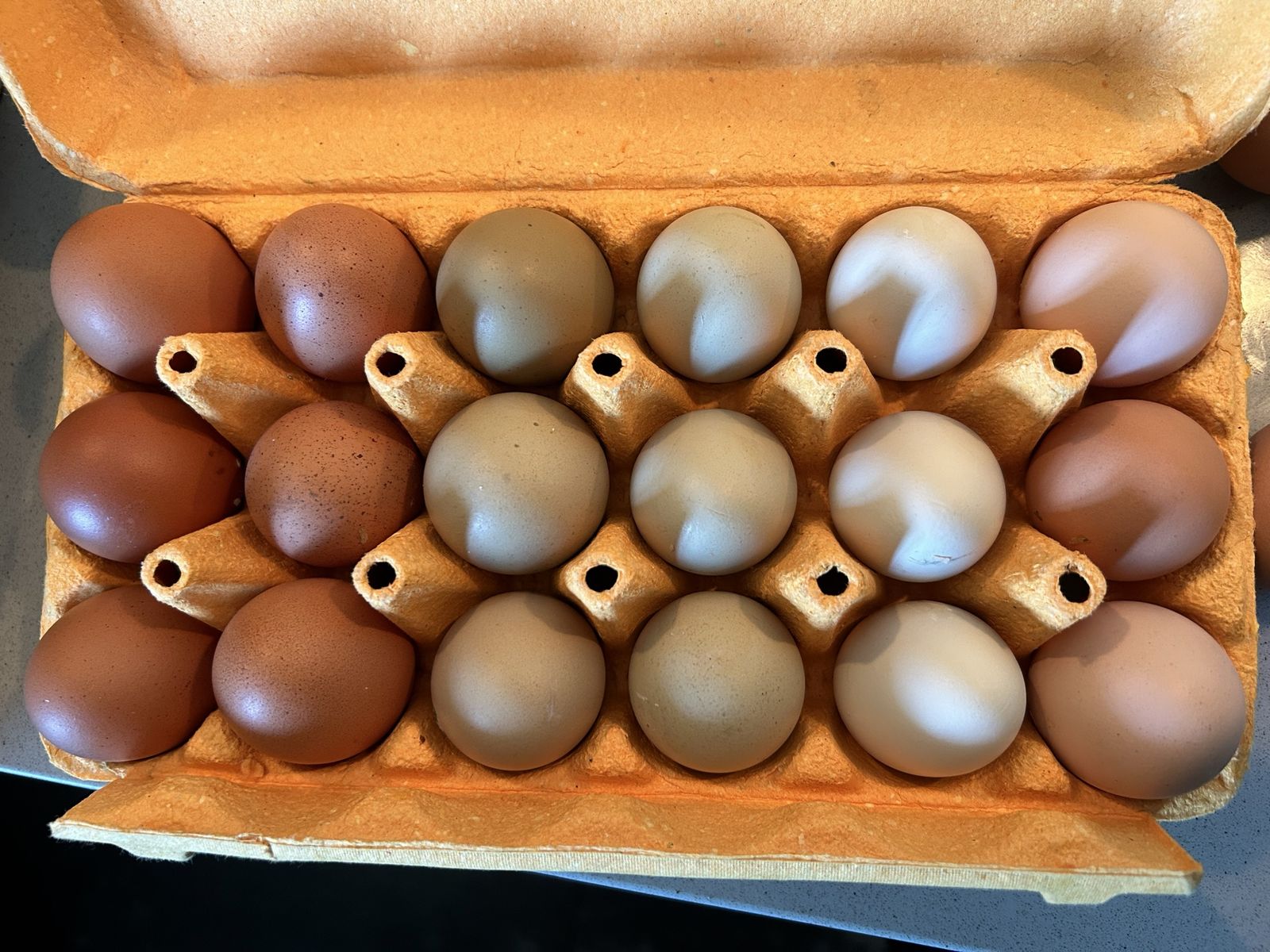 Premium Eggs! 🥚