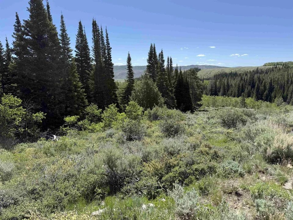 Main image 8