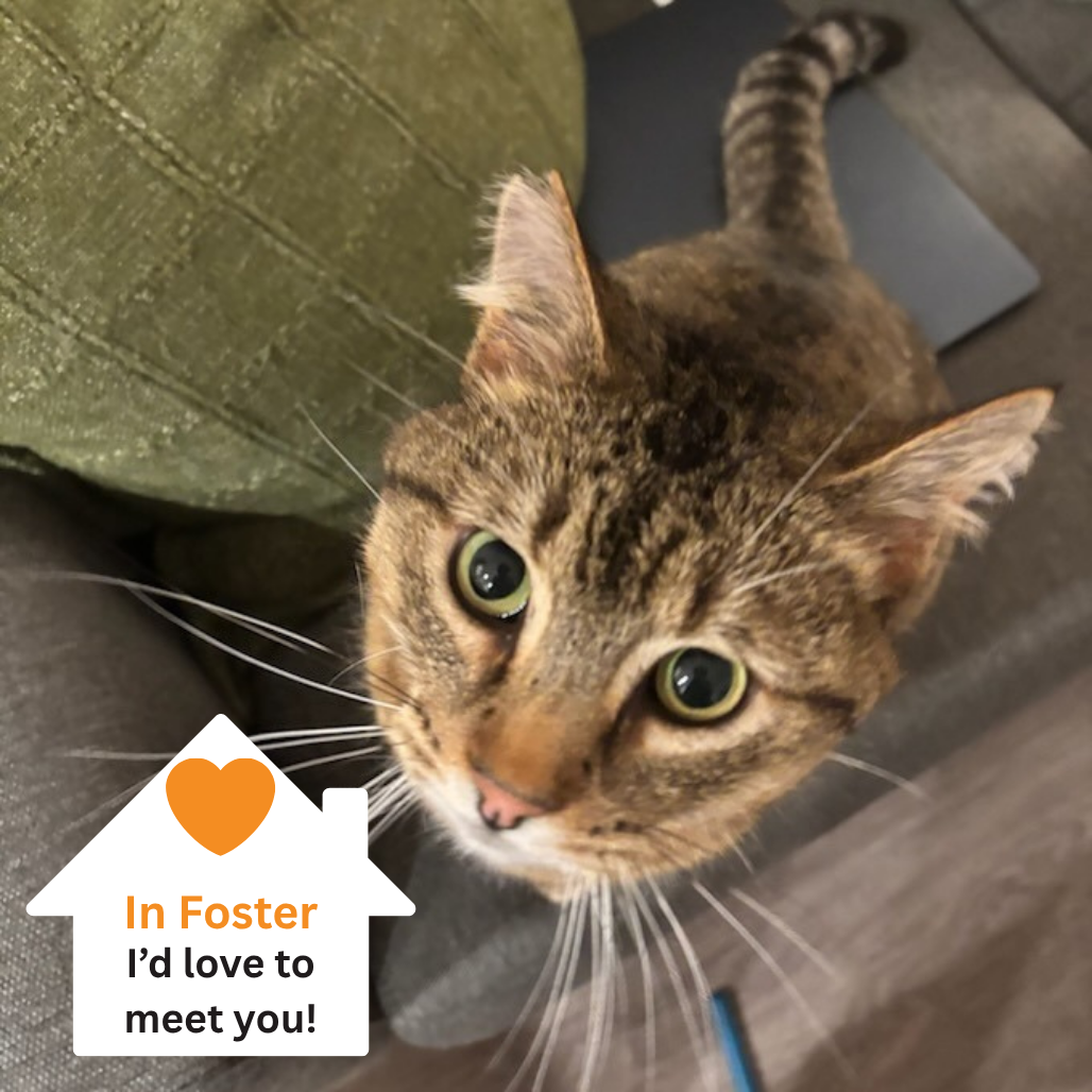 Hello my name is Donnie