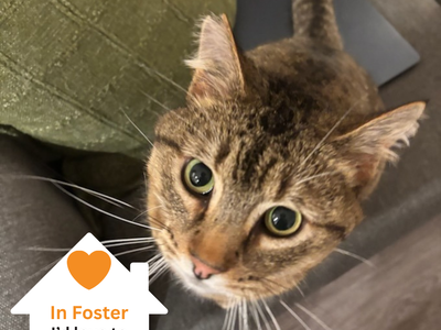 Hello my name is Donnie