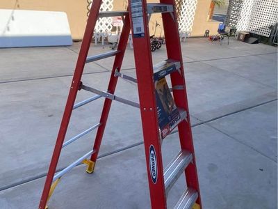 6' werner ladder