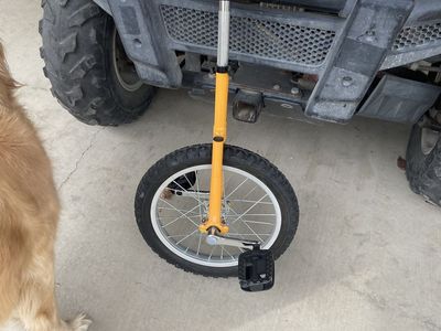 Youth unicycle