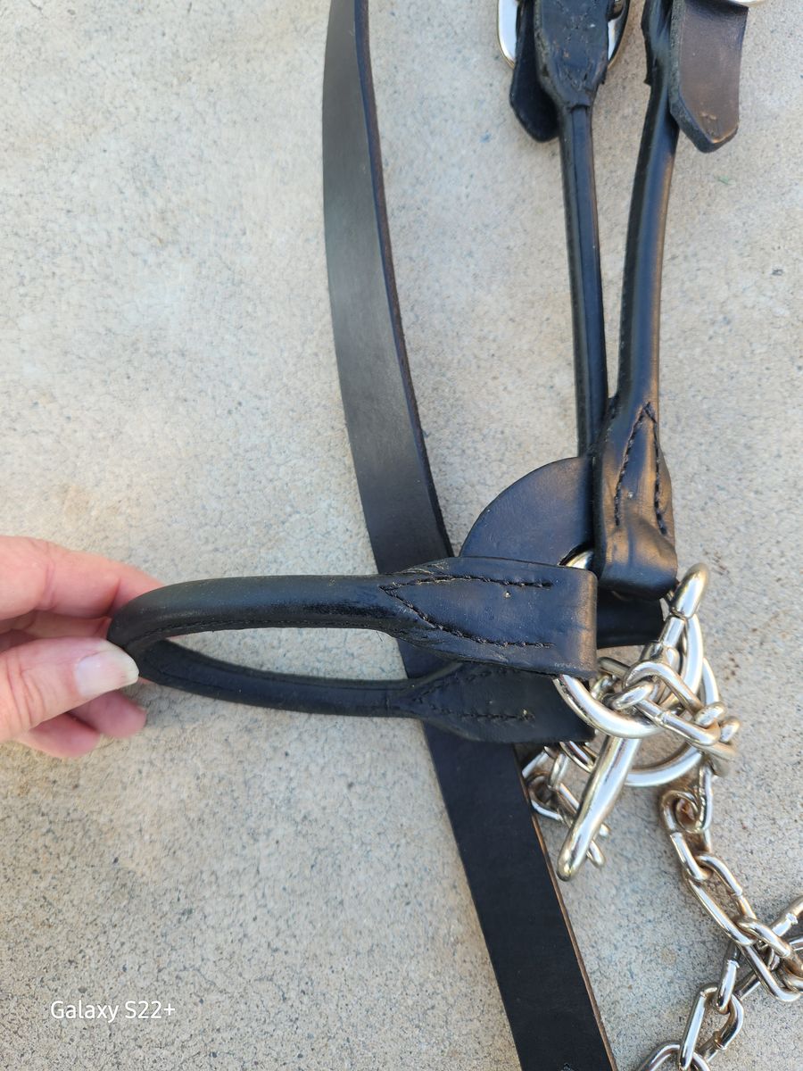 Leather steer show halter calf and sheep halters