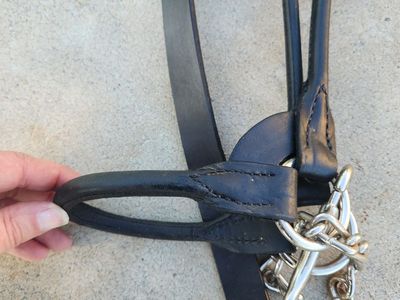 Leather steer show halter calf and sheep halters