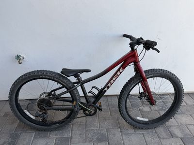 Trek Roscoe 24