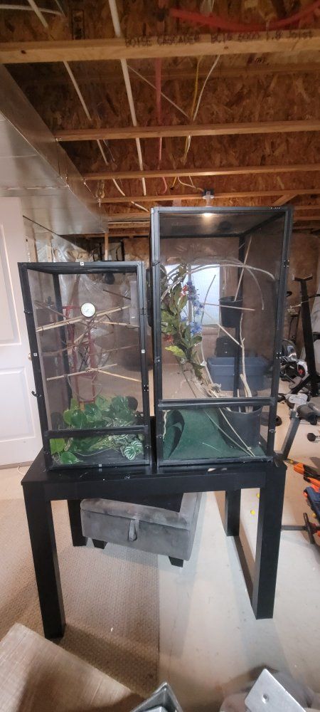 Two Chameleon Enclosures And Tons of Supplies