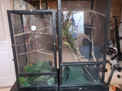 Two Chameleon Enclosures And Tons of Supplies