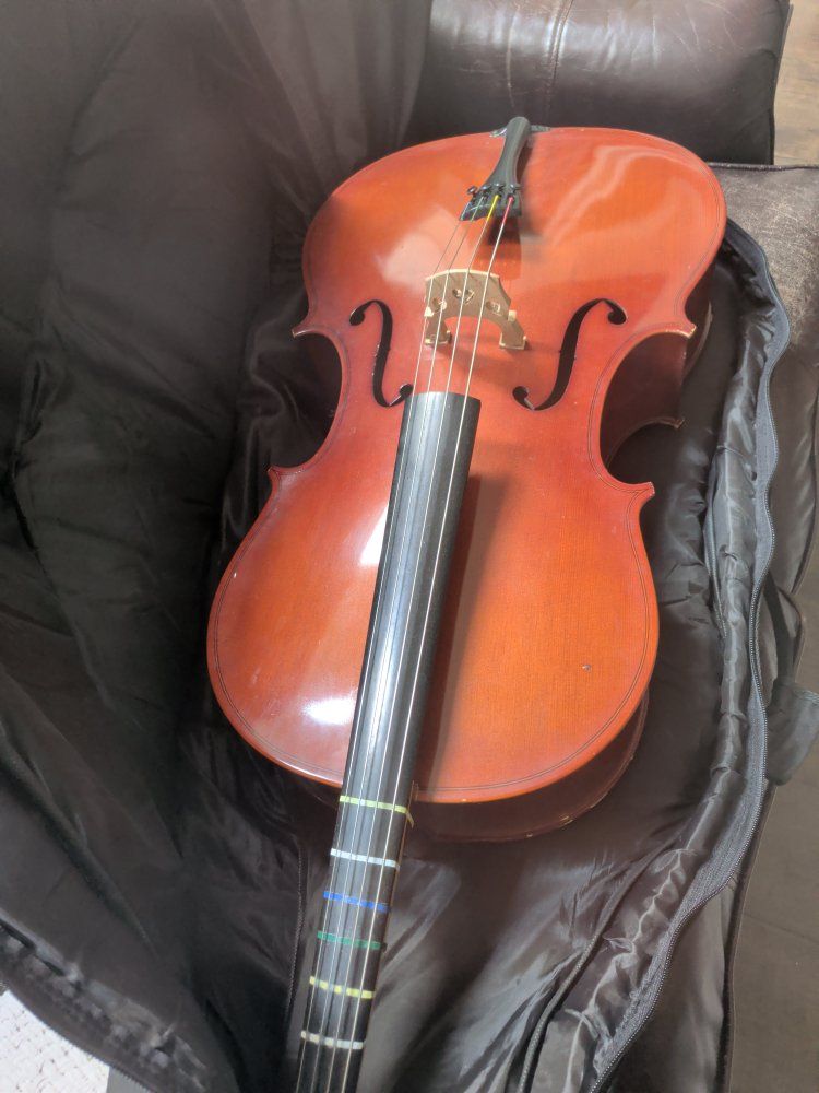 3/4 size cello