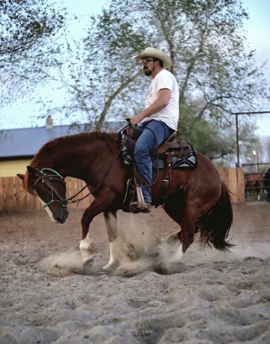 Aqha one time pepto/peptoboonsmal stud