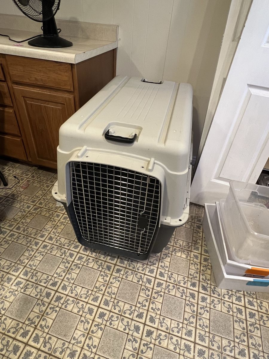 Xl Dog Crate