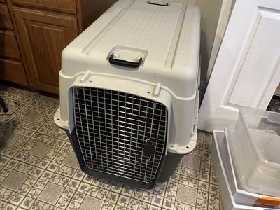 Xl Dog Crate