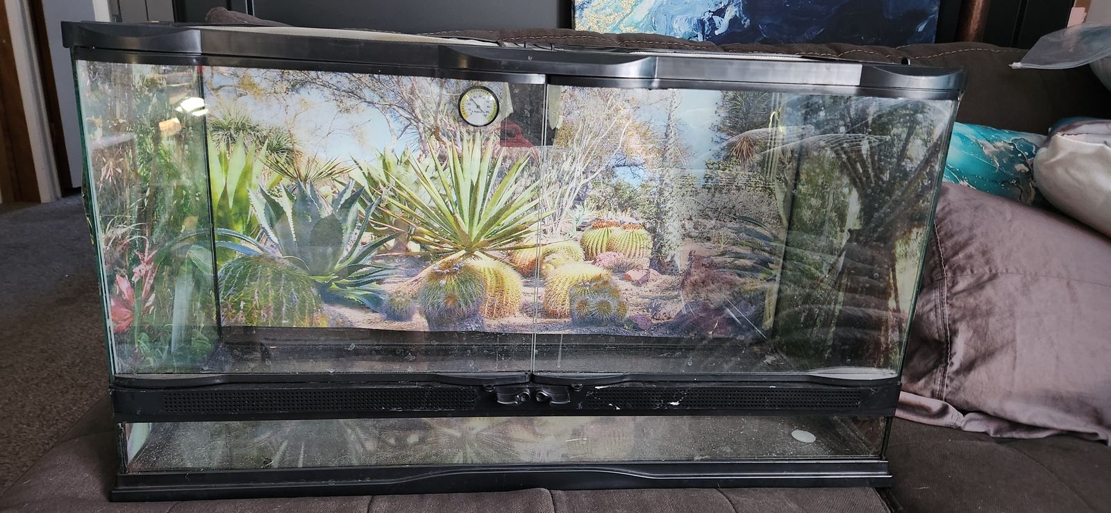 25 gallon tank front, opening terrarium.