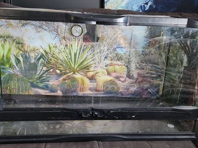 25 gallon tank front, opening terrarium.