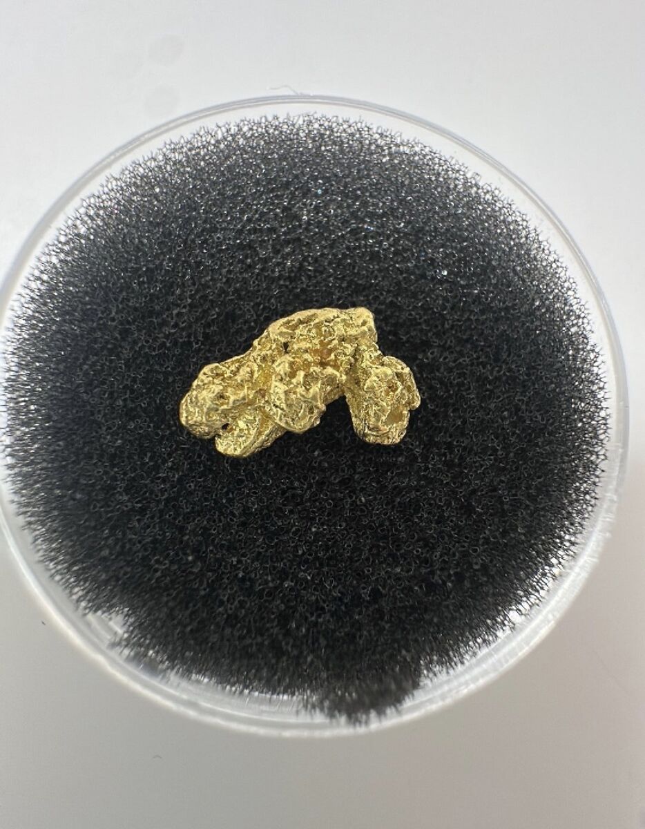 Gold Nugget Alaska 1.035 grams