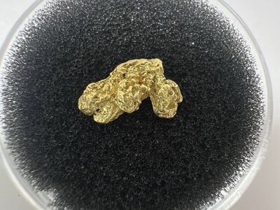 Gold Nugget Alaska 1.035 grams