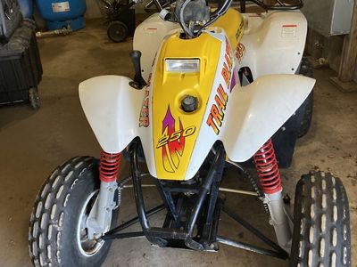 1999 Polaris Trailblazer