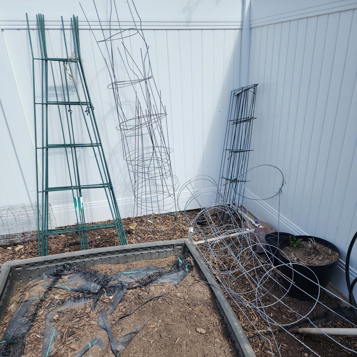 Tomatoes Cages, Trellis