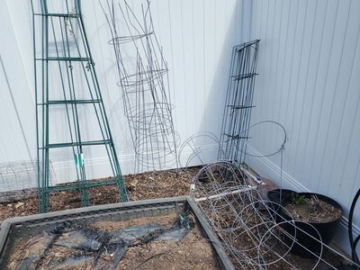 Tomatoes Cages, Trellis