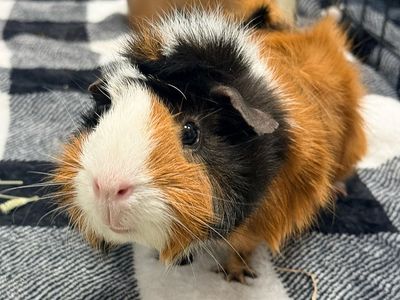 Hello my name is Eleanor