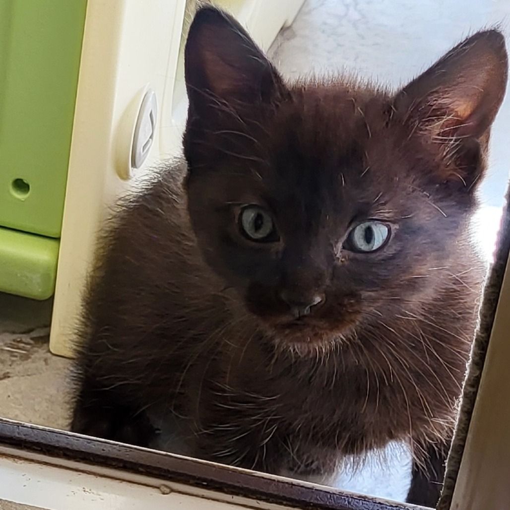 Hello my name is Stream