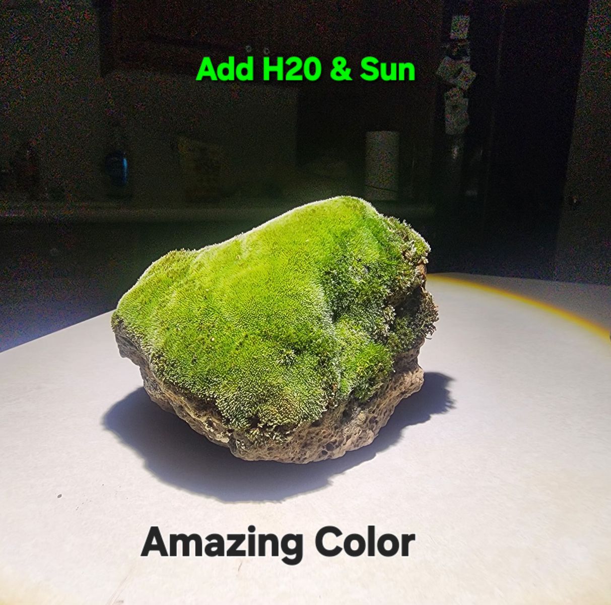 DECORATIVE  Lava  Rocks That Turn Bright Neon Green, when pouring H2O directly on the rockf