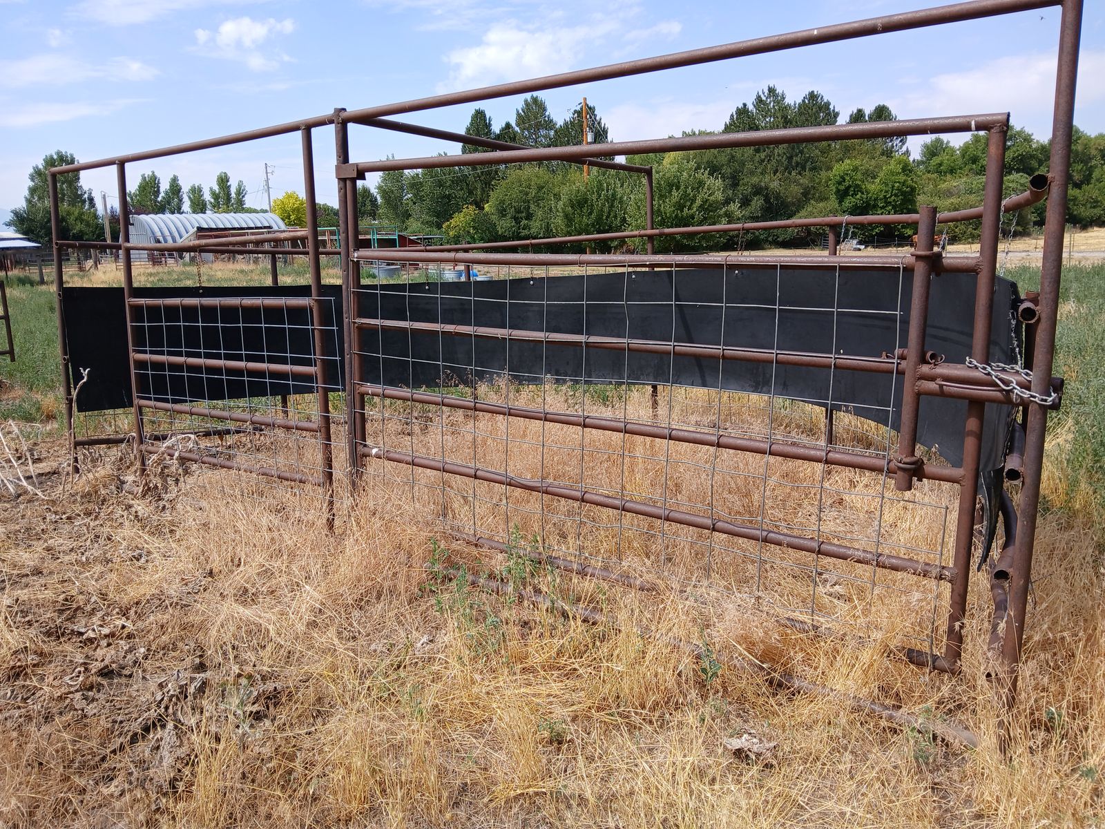 Cattle crowding tub