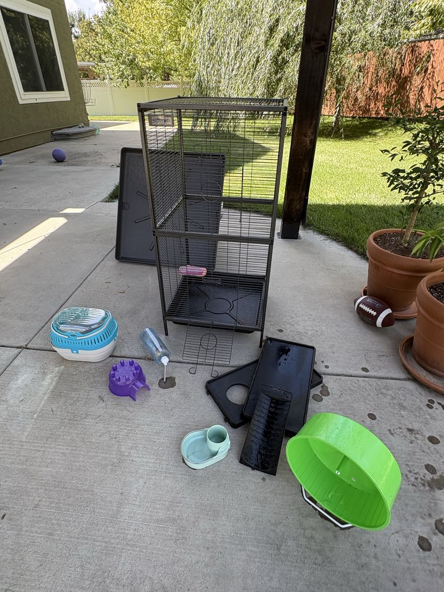 Tall Multi-Level Small Animal Cage with Accessories and Wheel. Rat set up