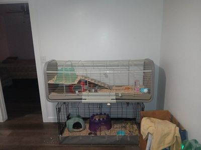Small Animal Pet Cages with Accessories