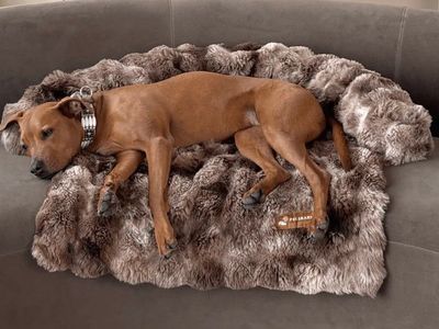 NEW PELSBARN LUXURIOUS PET SOFA BED (RETAILS: $241)