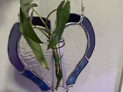Handmade Heart-Shaped Stained Glass Plant Propagation Vase Wall Hanging Decor. Homemade plant spikes