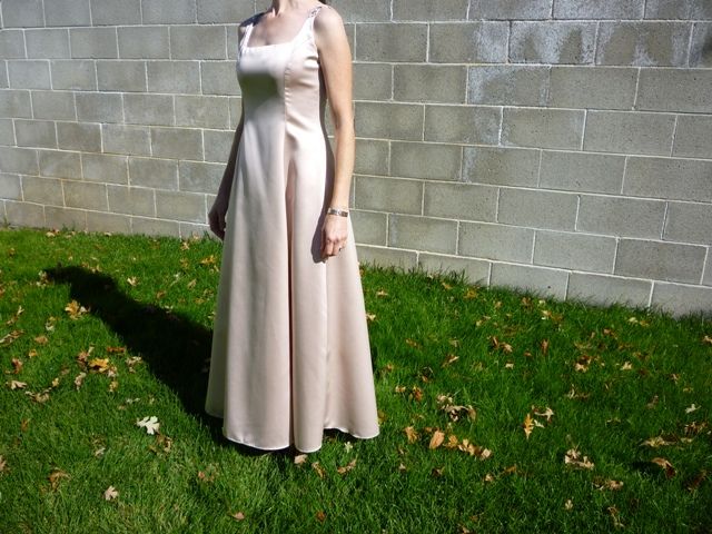 Champagne Colored Stunning Dress - Size 6