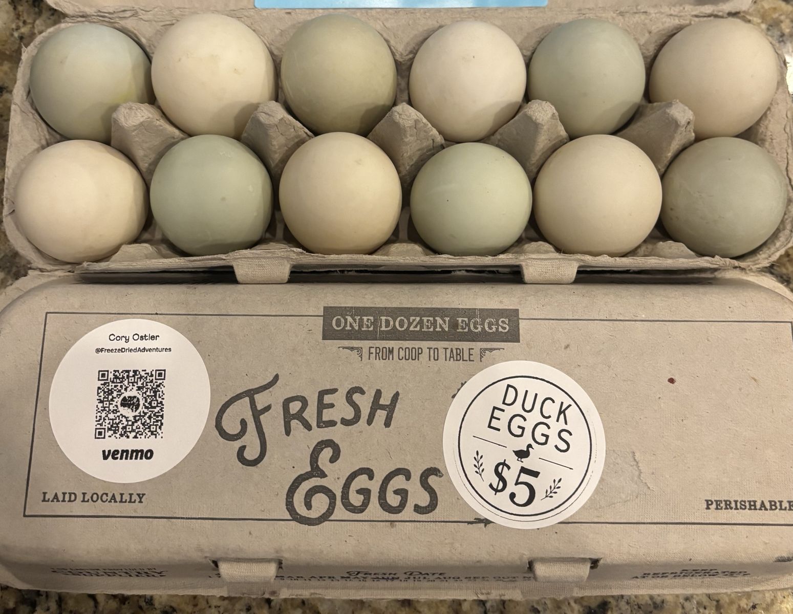 Fresh, Locally Laid Duck Eggs - One Dozen, Great for Baking & High Protein Diets