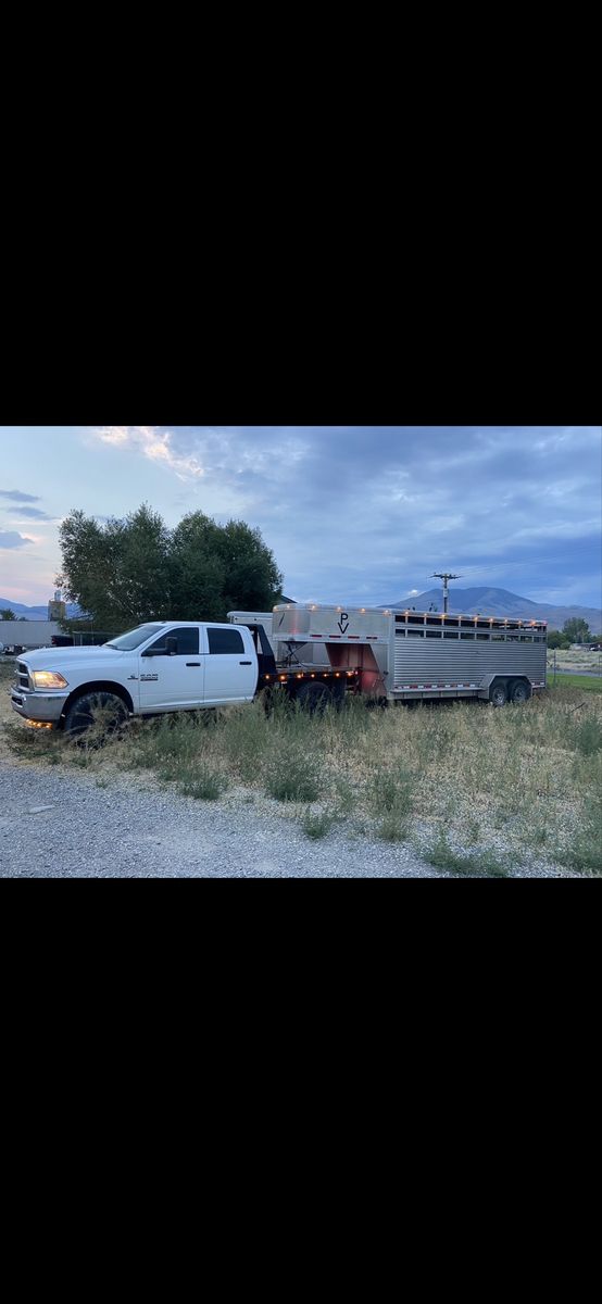 Featherlite stock trailer