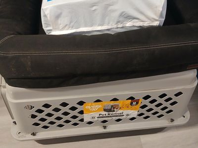 Medium pet kennel