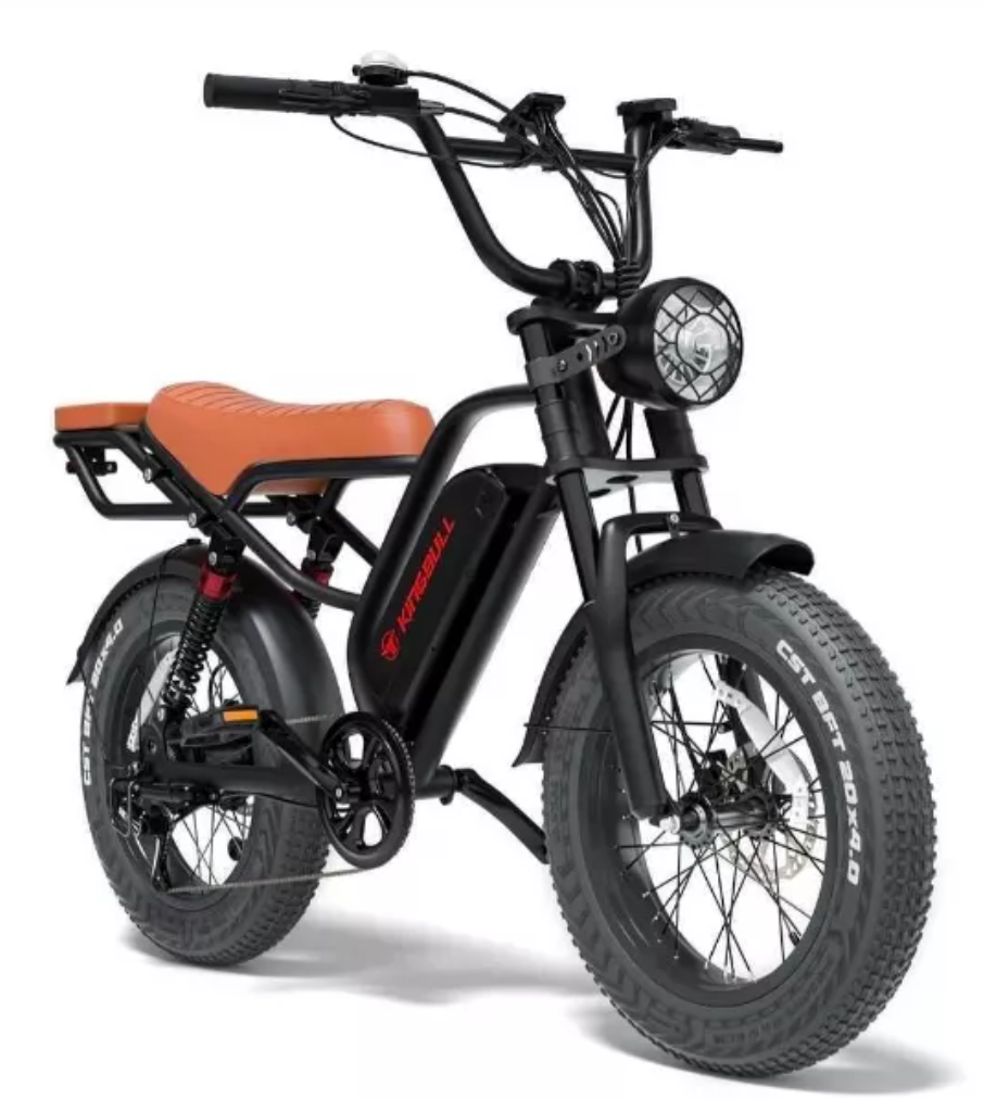 70 eBikes for Public auction!  April 30th!