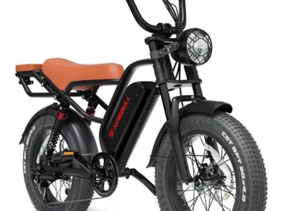 70 eBikes for Public auction! April 30th!