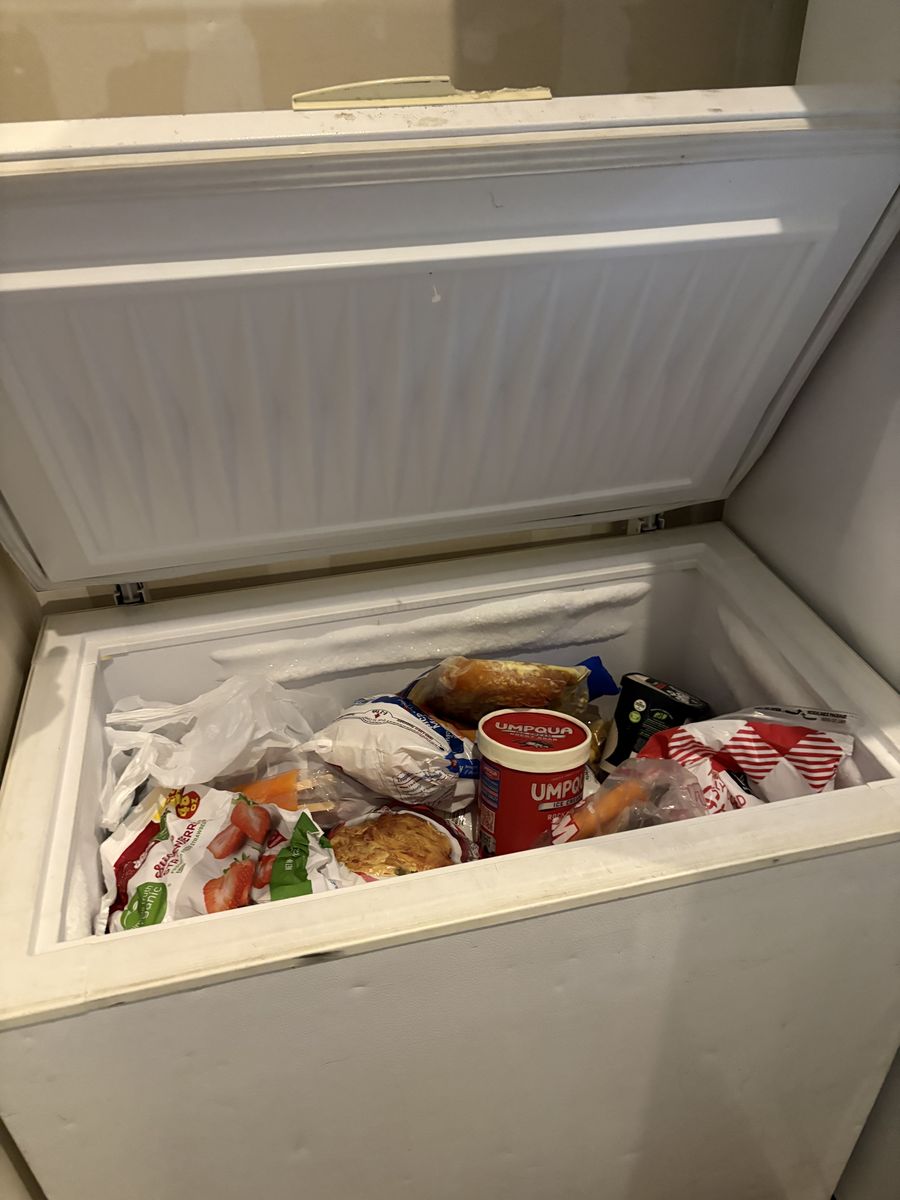 Frigidaire Heavy Duty Commercial Chest Freezer