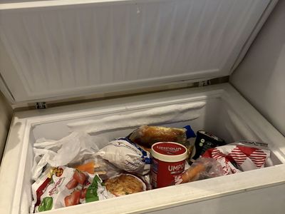Frigidaire Heavy Duty Commercial Chest Freezer