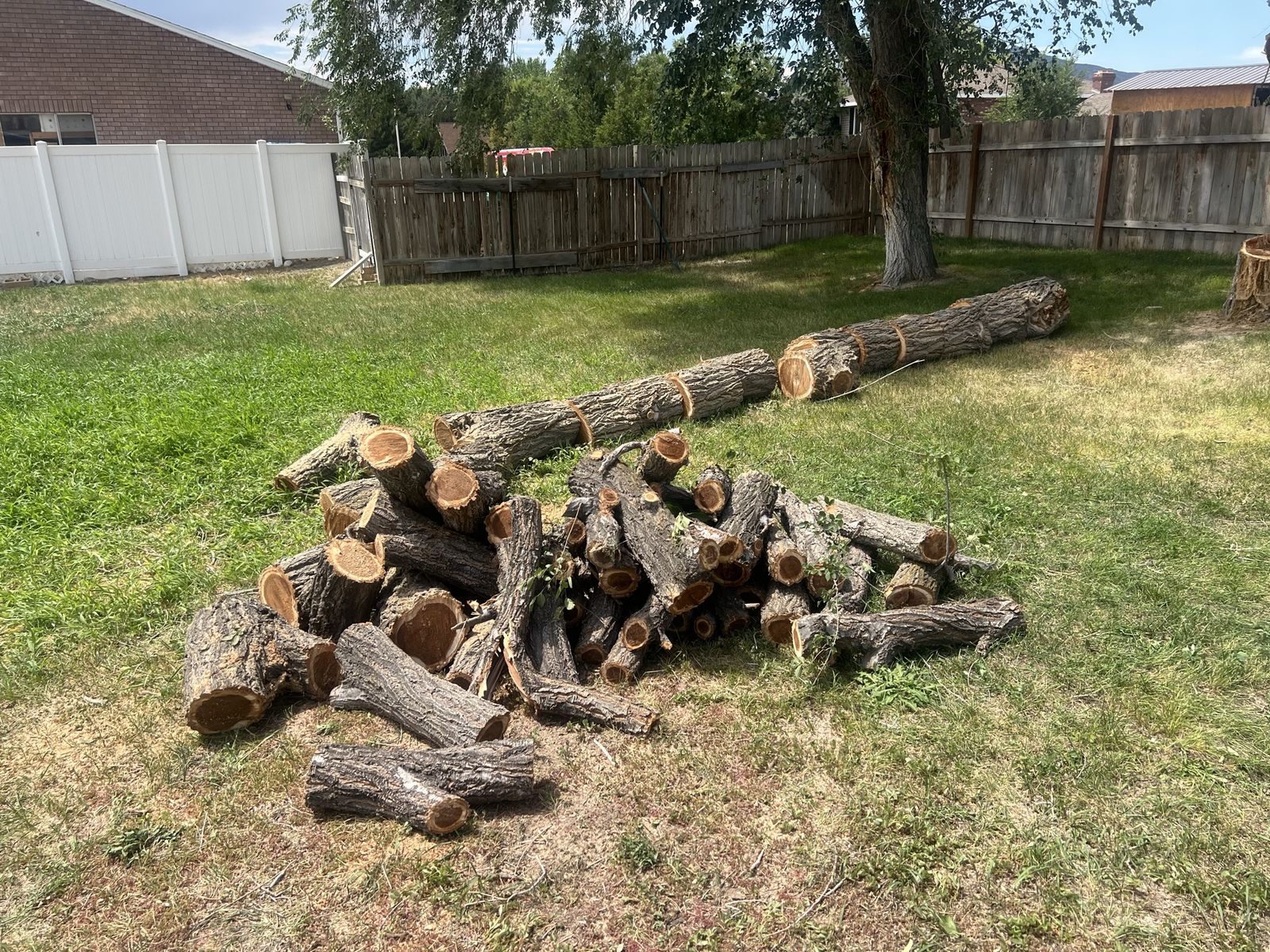 Fire wood