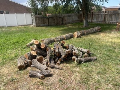 Fire wood