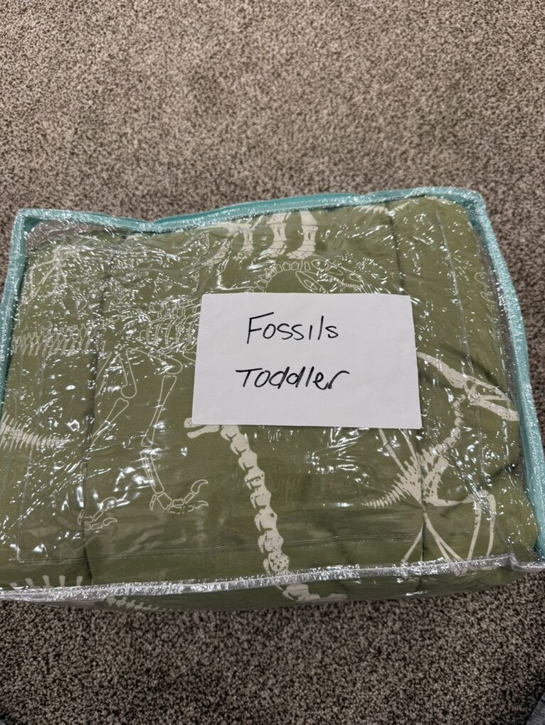 Beddys TODDLER Fossils