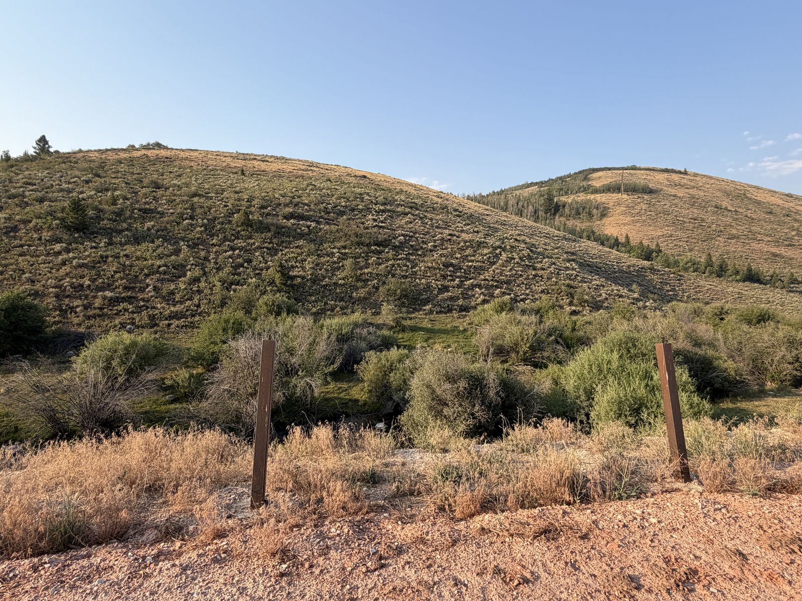 Main image 11
